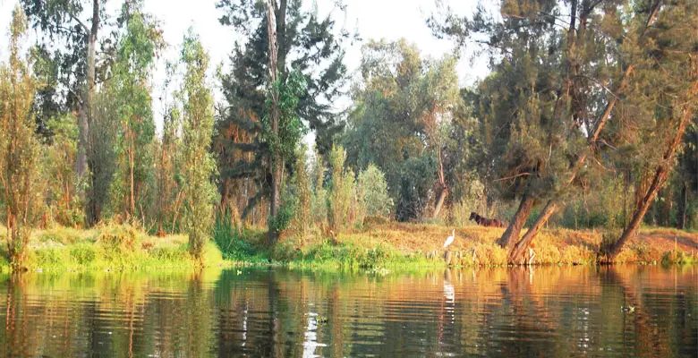 Xochimilco Lake, Mexico City